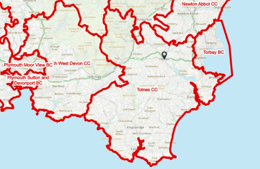Totnes constituency